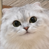 めろ